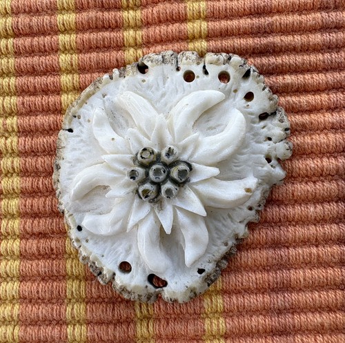 Hirschhornrose geschnitzt - hirschhornrose,
