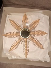 Erzgebirge Spanstern